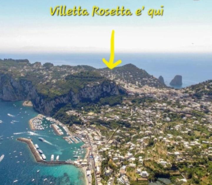 Rosetta Capri