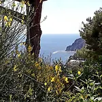 Villetta Rosetta