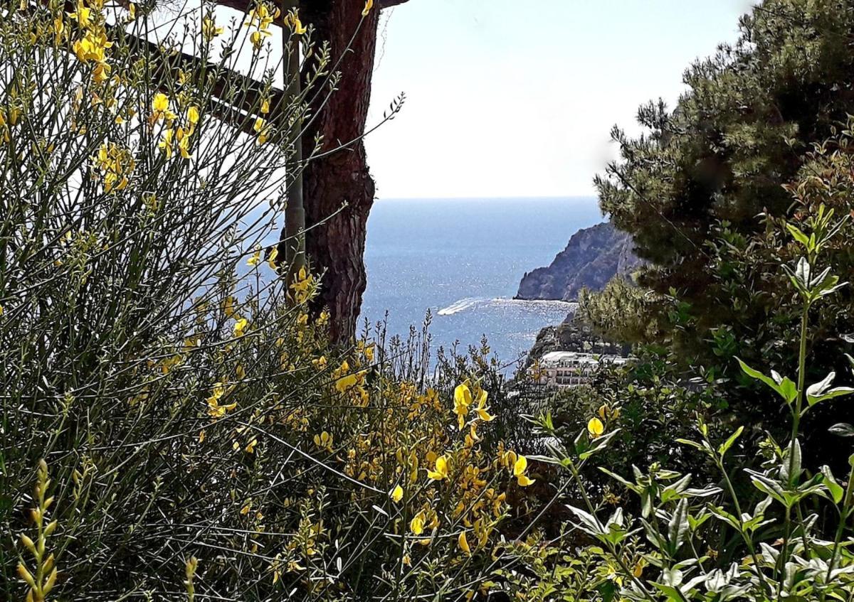 Rosetta Casa vacanze