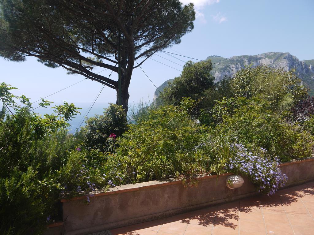Casa vacanze Rosetta *